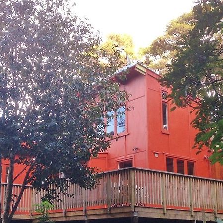 The Coromandel Treehouse Exterior photo