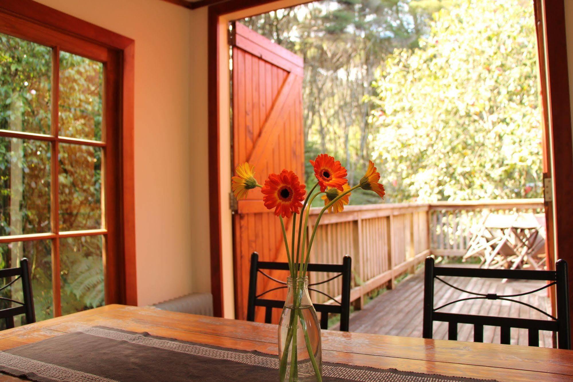 The Coromandel Treehouse Exterior photo