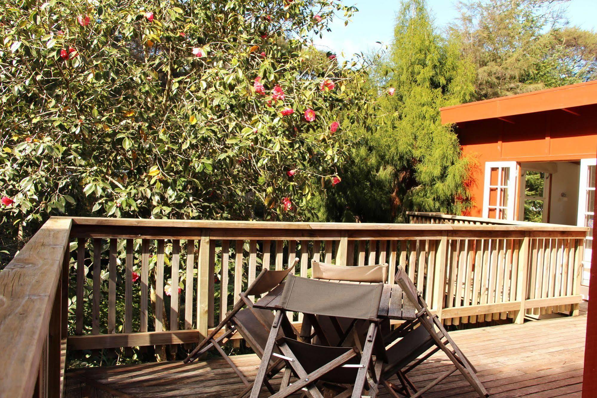 The Coromandel Treehouse Exterior photo
